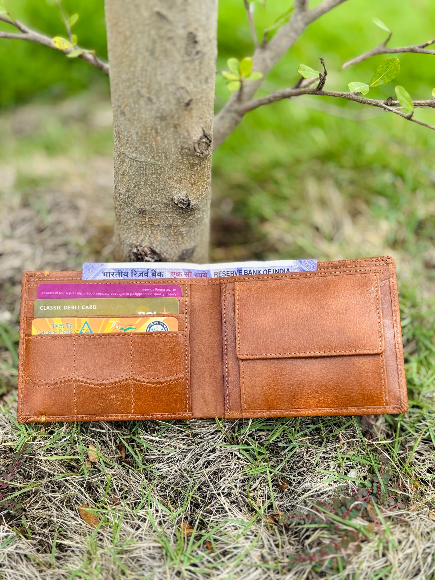 ZEPHYR WALLET